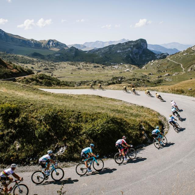sledujte aktuální informace, výsledky a zajímavosti z legendárního cyklistického závodu tour de france. objevte trasy etap, týmy i favority letošního ročníku.