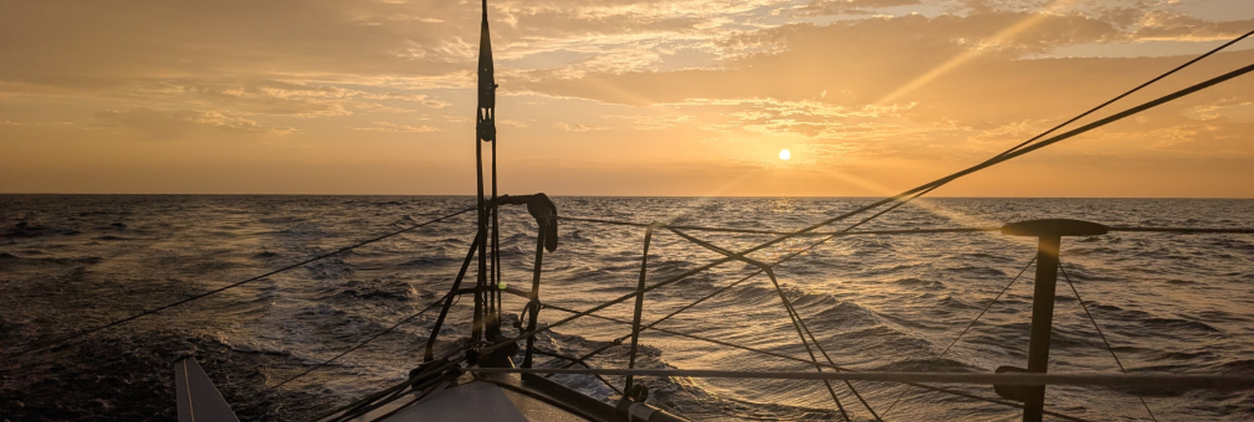 zjistěte více o připlutí týmů laperche a cammas na závodě transat café l'or, které se očekává ve čtvrtek. sledujte aktuální informace a novinky z této napínavé sportovní události.