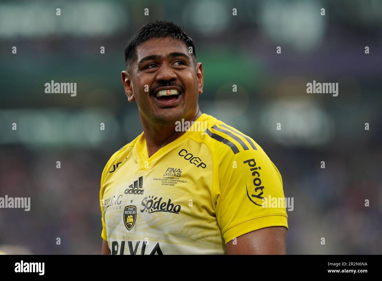 will skelton vynechá zápas proti francii kvůli zranění. sledujte nejnovější informace o jeho zdravotním stavu a dopadech na tým.