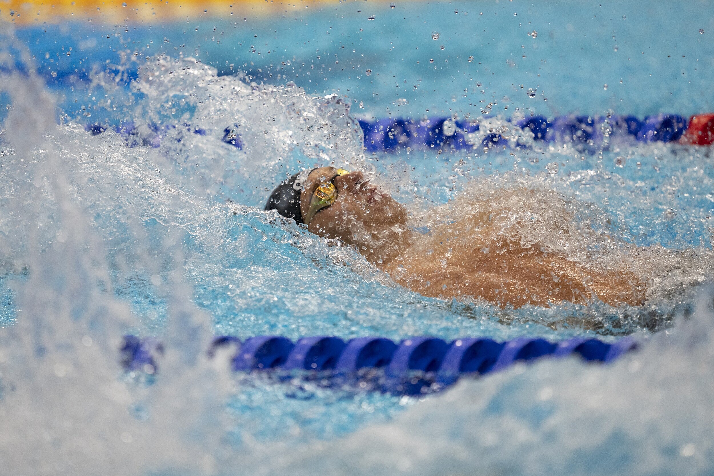grousset zvítězil na 100 m motýlek na evropském šampionátu, předvádí vynikající výkon a získává zlato pro svou zemi.