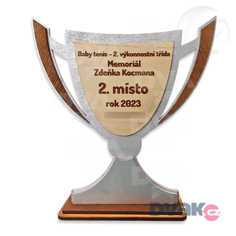 pogbův návrat na hřiště je oceněn prestižní trofejí, která zdůrazňuje jeho vynikající výkon a odhodlání.