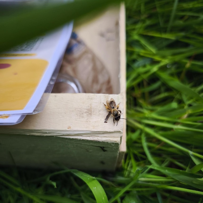zjistěte, jak funguje sportovní schránka v saint-junien a jak může pomoci sportovním klubům a organizacím v této oblasti.